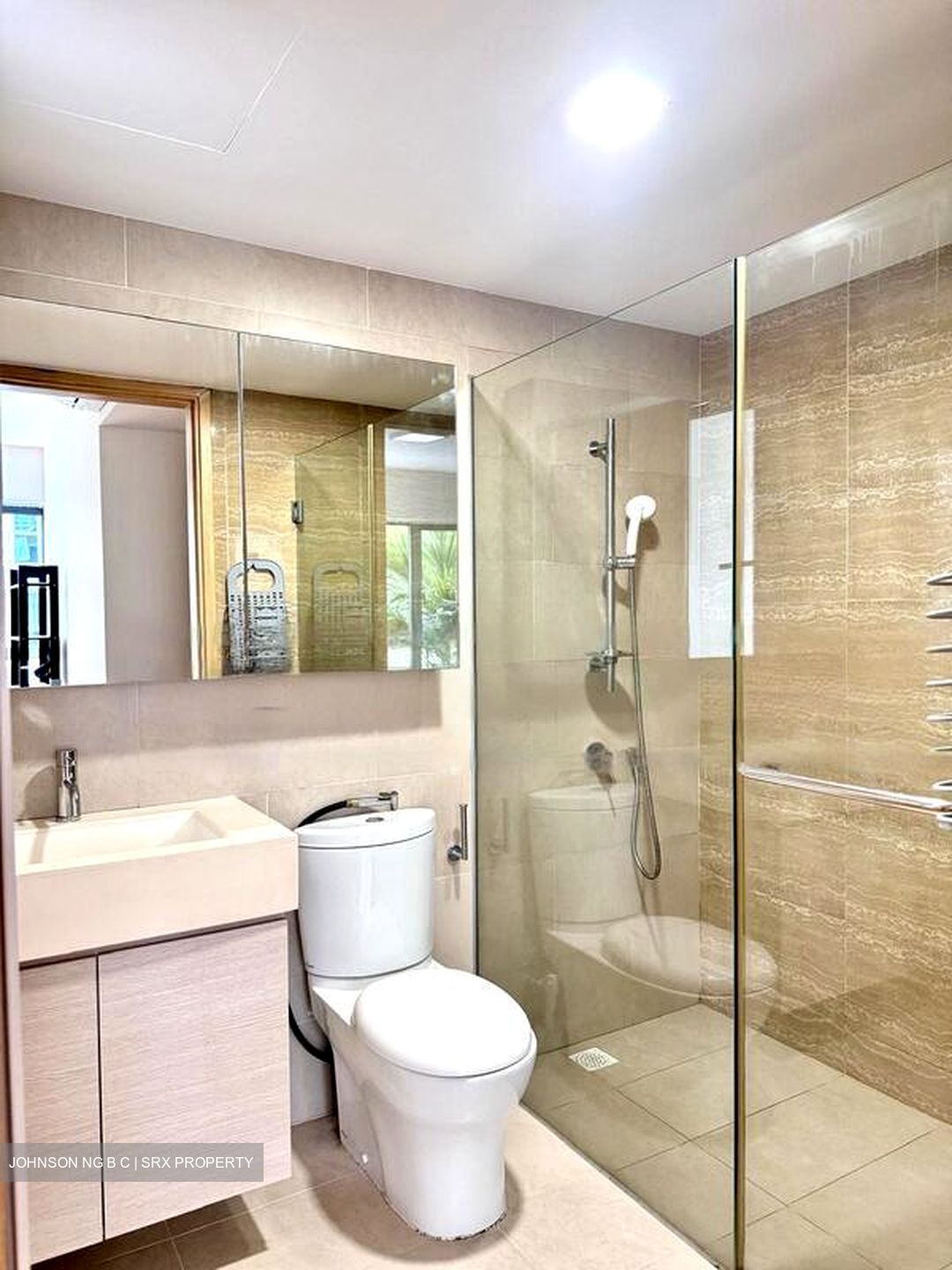 A Treasure Trove (D19), Condominium #482609381